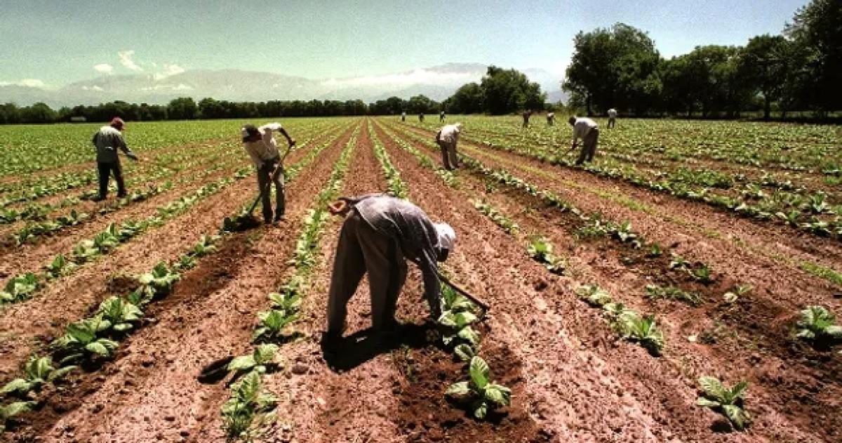 Trabajadores rurales exigen aumento y analizan medidas de fuerza