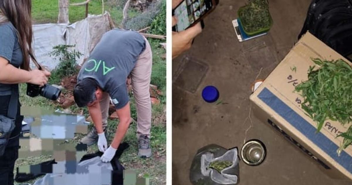 La policía también encontró un b�nker de marihuana- hay un detenido