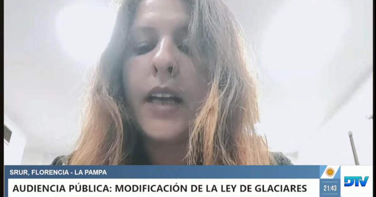 Ley de Glaciares- Un retroceso ambiental juriacutedico y democraacutetico