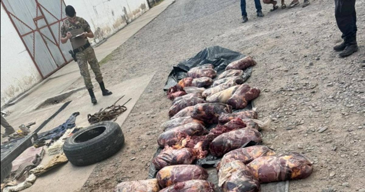 En el operativo intervino la División Seguridad Rural de la Unidad Regional IV