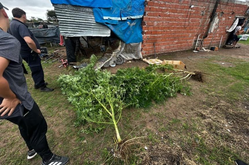 Personal de la Seccional Segunda y de Toxicomanía intervinieron en el hecho