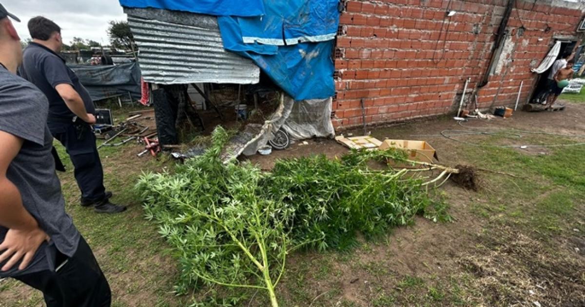 Personal de la Seccional Segunda y de Toxicomanía intervinieron en el hecho