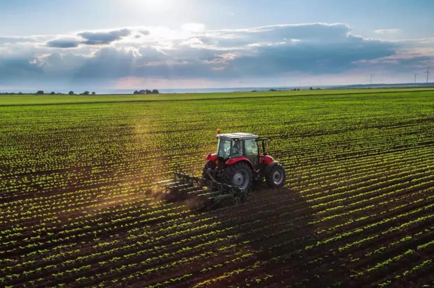 Pulso productivo pampeano- entre el clima y los costos