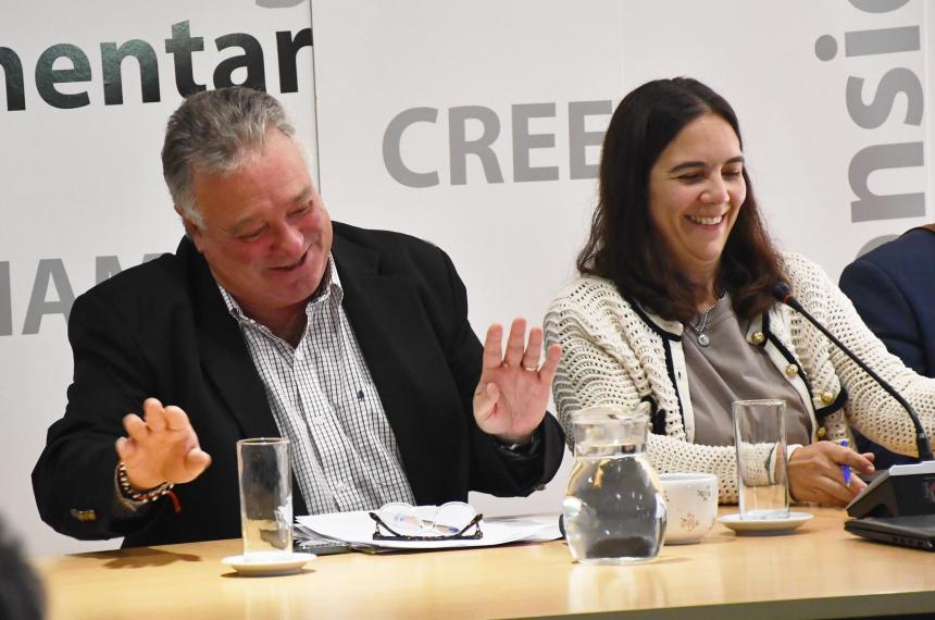 La oposicioacuten votaraacute solo una trancisioacuten con la licitacioacutein de Medanito