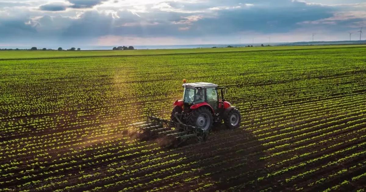 Pulso productivo pampeano- entre el clima y los costos