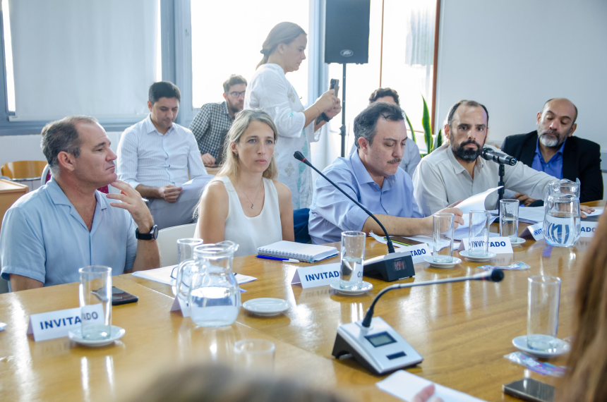 Emergencia en Salud Mental- la Legislatura escuchoacute al subsecretario Malgaacute