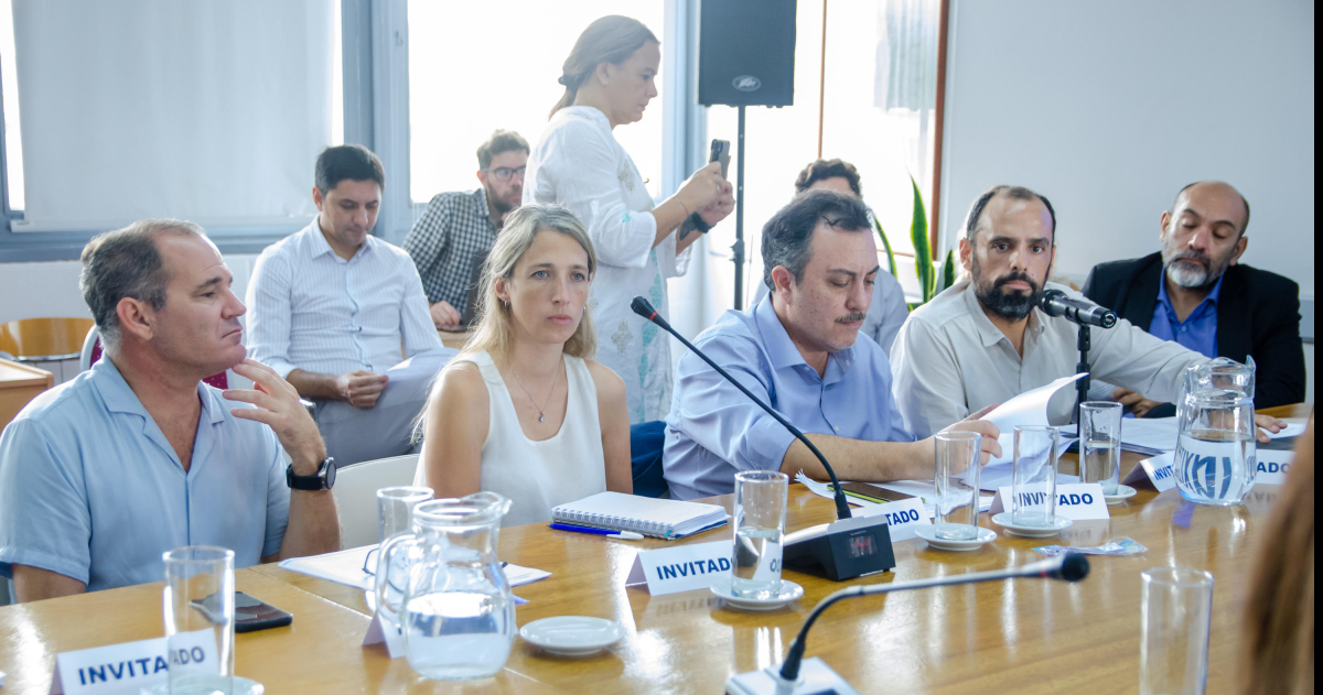 Emergencia en Salud Mental- la Legislatura escuchoacute al subsecretario Malgaacute