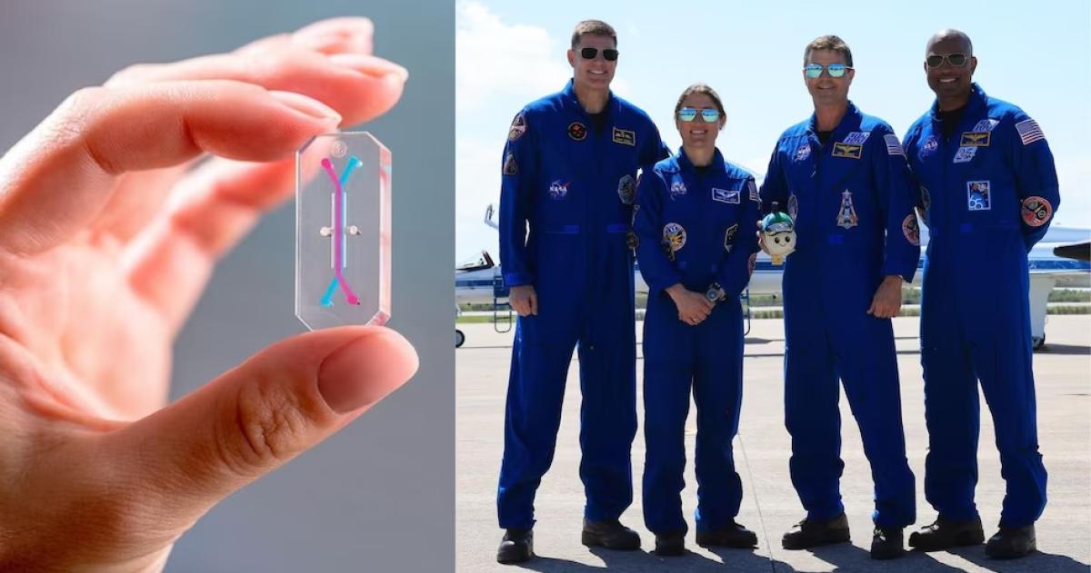 Los astronautas de Artemis II llevan consigo chips biotecnológicos del tamaño de una memoria USB