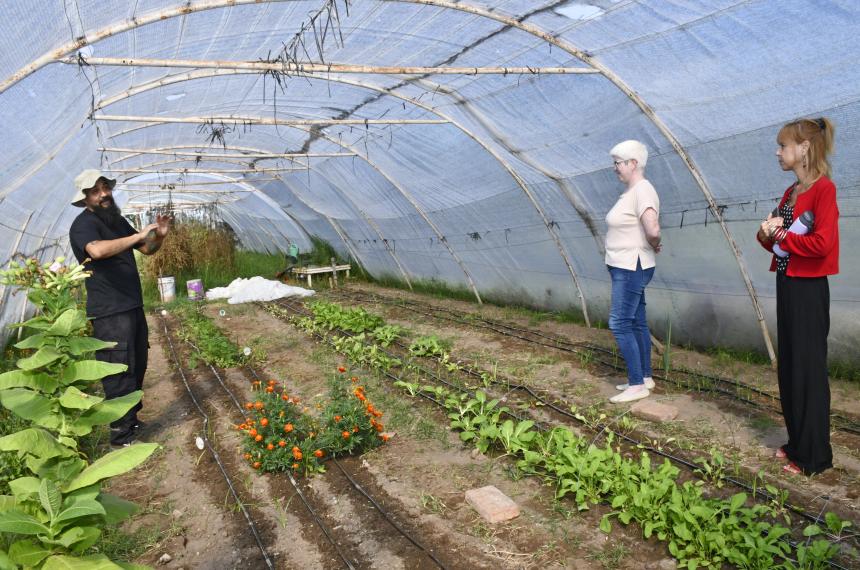 Los tallerres se desarrollan en el predio de la Avenida Palacios