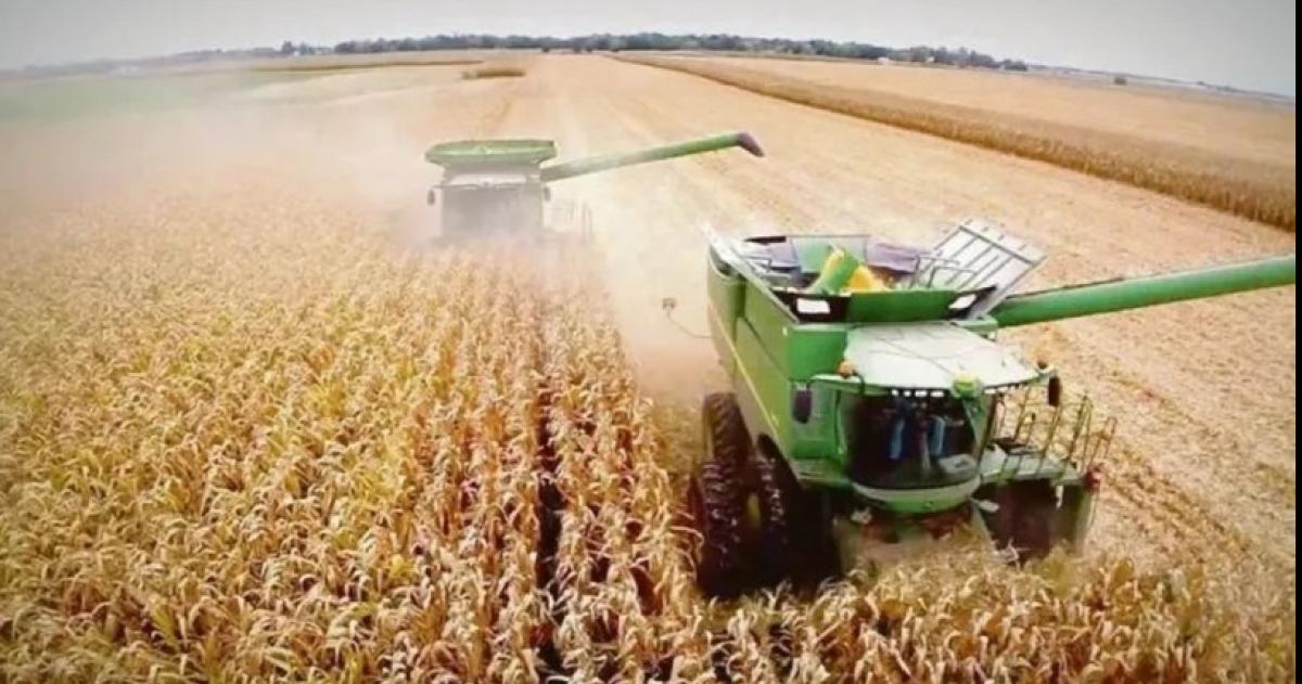 La Guerra de Medio Oriente determinó un fuerte aumento de los costos de producción y a comienzos de año se actualizaron impuestos provinciales y municipales