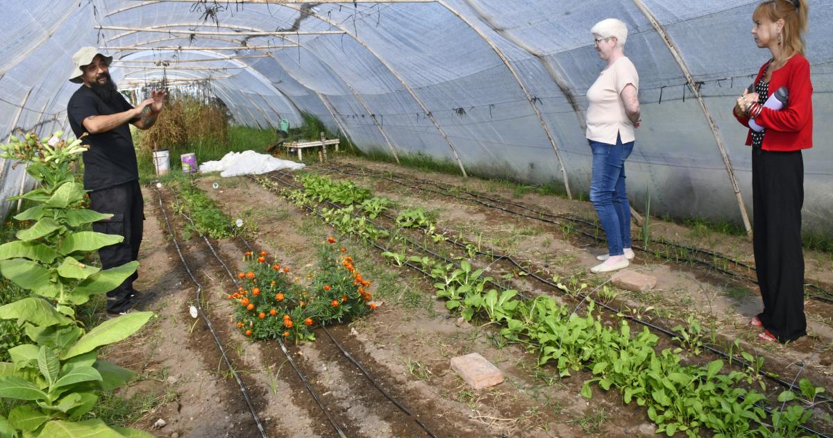 Los tallerres se desarrollan en el predio de la Avenida Palacios