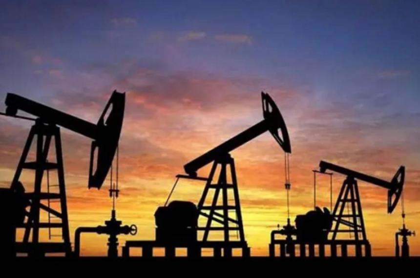 El 19 de junio vence la concesión del area petrolera Medanito