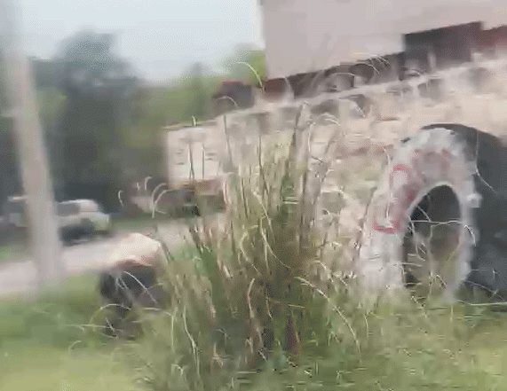 La agresión al perro ocurrió en la esquina de Boulevard Brown y OHiggins