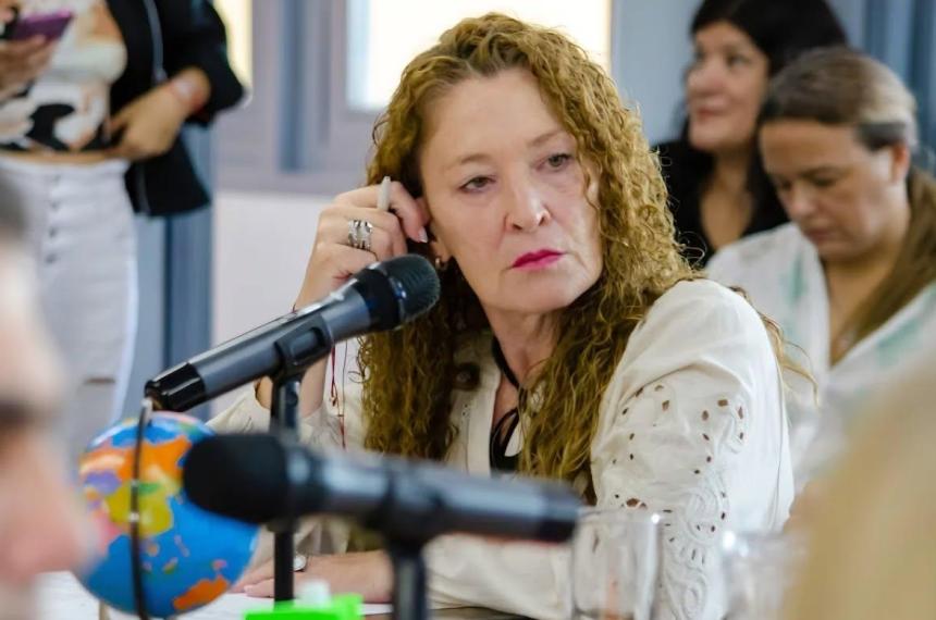 Emergencia en salud mental- proyecto preveacute incorporar 30 profesionales al sistema puacuteblico