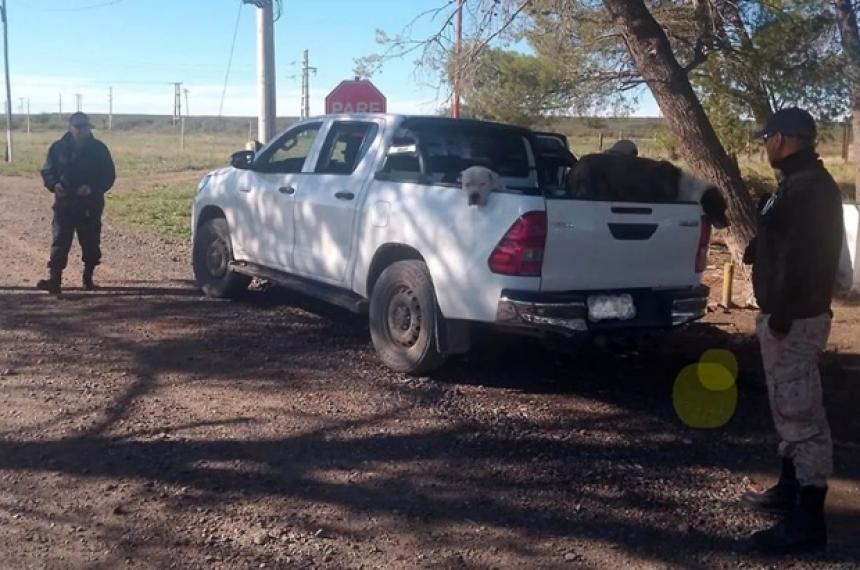 El procedimiento se realizó en el límite interprovincial entre La Pampa y Río Negro