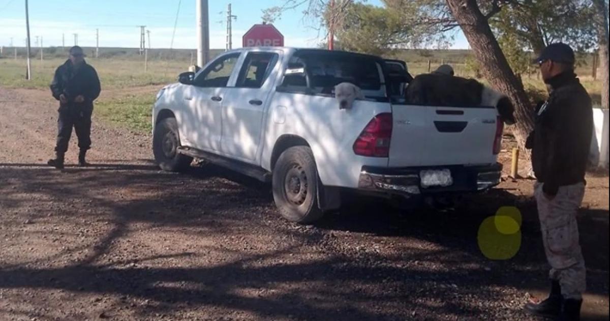 El procedimiento se realizó en el límite interprovincial entre La Pampa y Río Negro