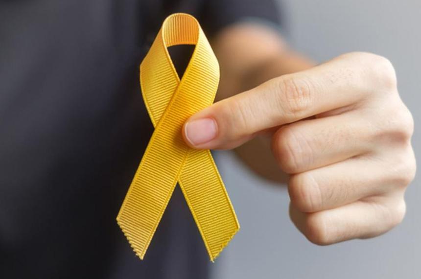 La Pampa reglamentoacute la ley de prevencioacuten del suicidio 