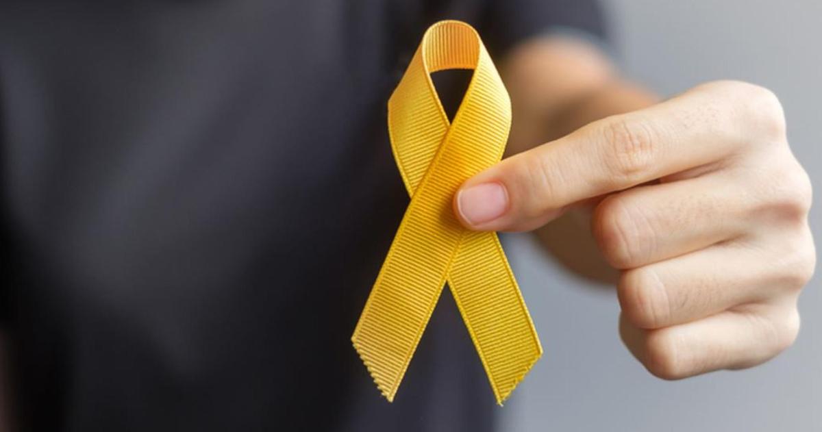 La Pampa reglamentoacute la ley de prevencioacuten del suicidio 