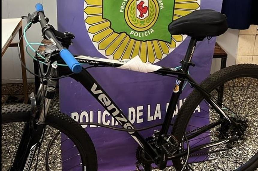 El rodado sustraído fue devuelto a su propietario