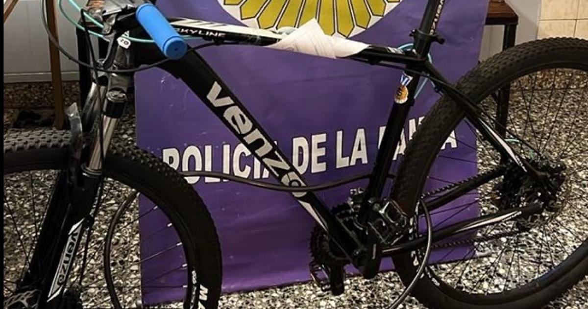 El rodado sustraído fue devuelto a su propietario