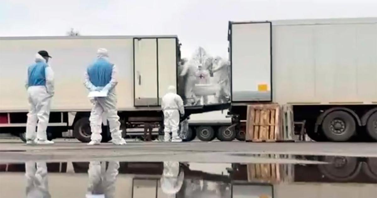 Intercambio de muertos en la guerra