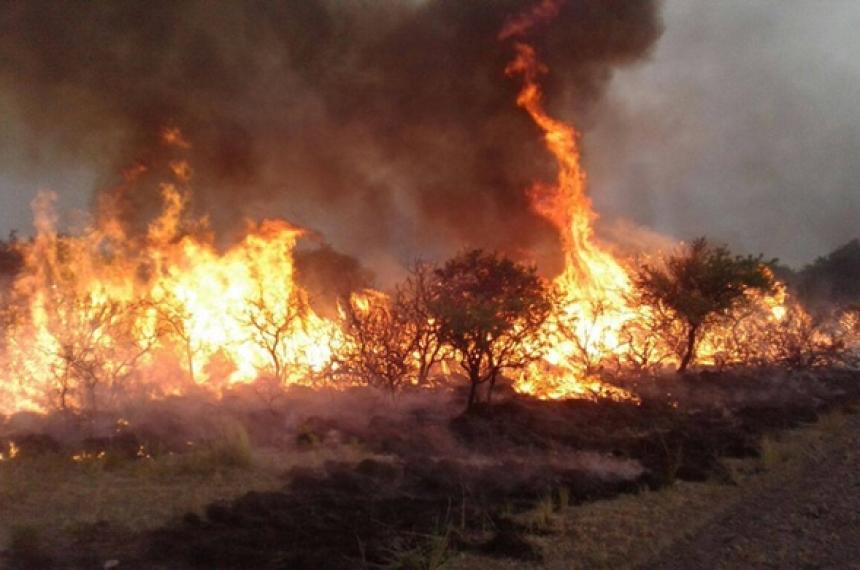 El oeste provincial fue la zona mas afectada por los incendios