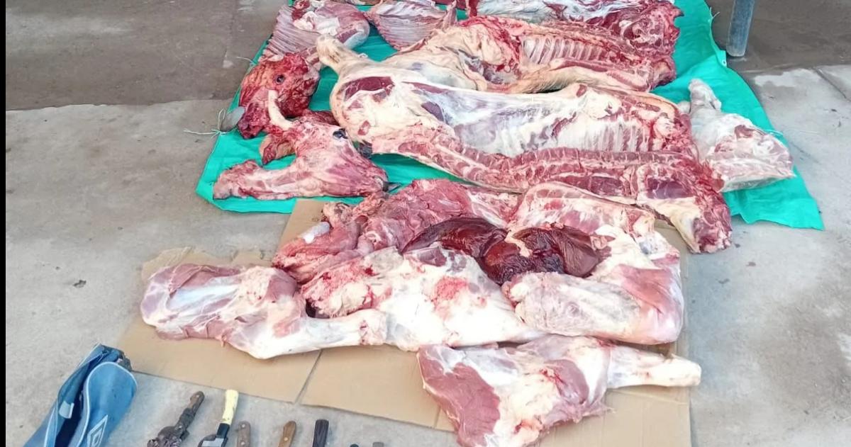 La carne secuestrada fue luego incinerada