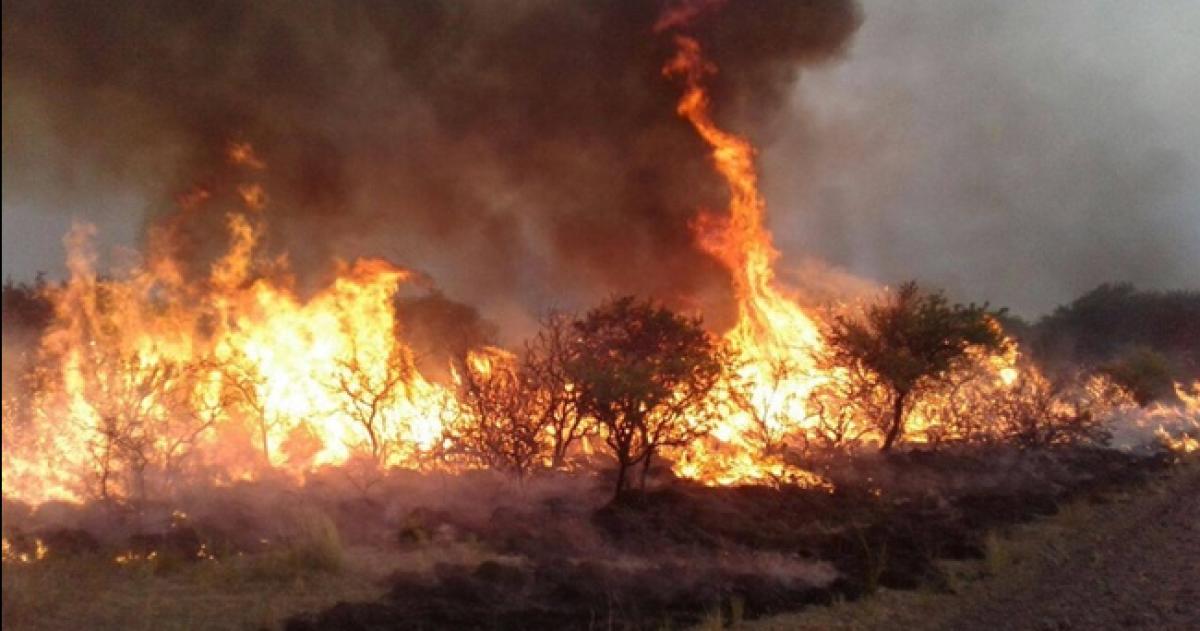 El oeste provincial fue la zona mas afectada por los incendios