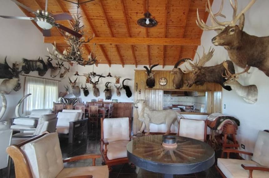 El operativo se realizó en el establecimiento San Lorenzo