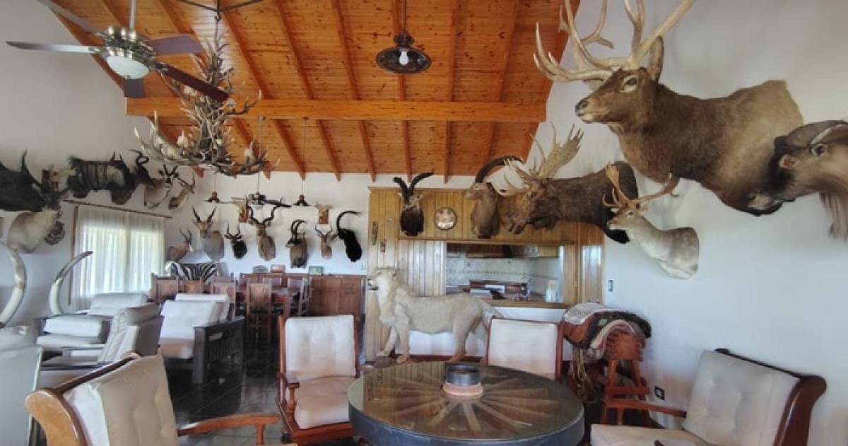 El operativo se realizó en el establecimiento San Lorenzo