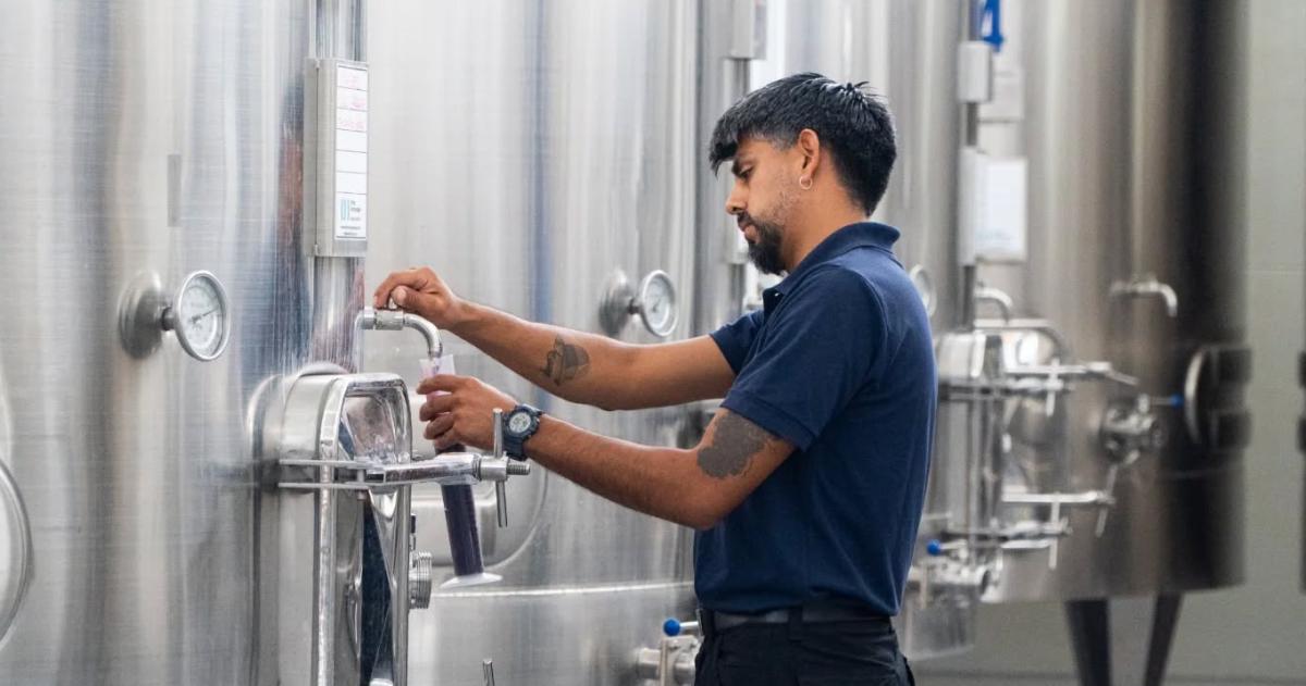 Los primeros vinos elaborados íntegramente en territorio pampeano estar�n disponibles en el mercado hacia diciembre de este año