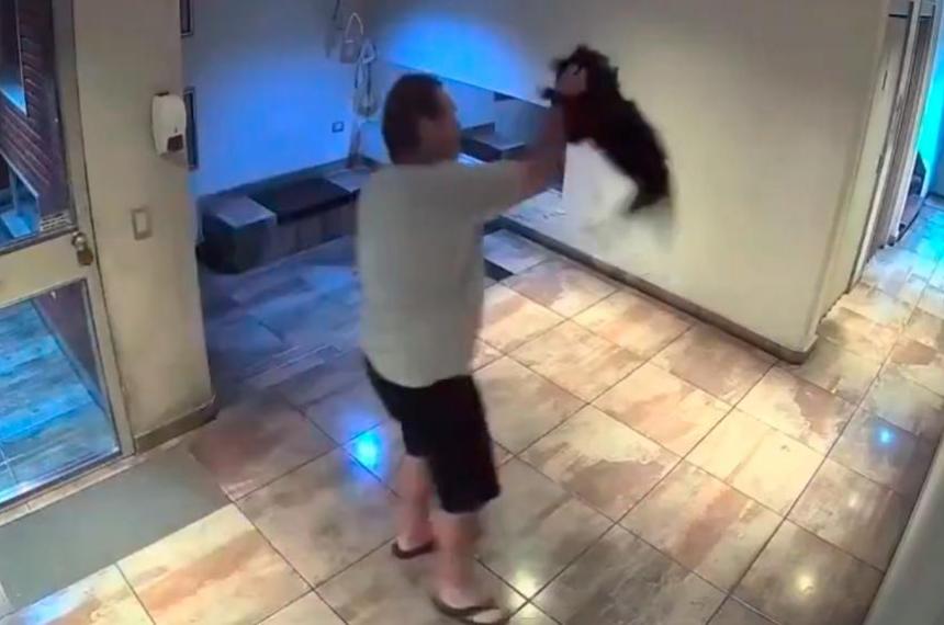 Brutal golpiza a un perro en Palermo