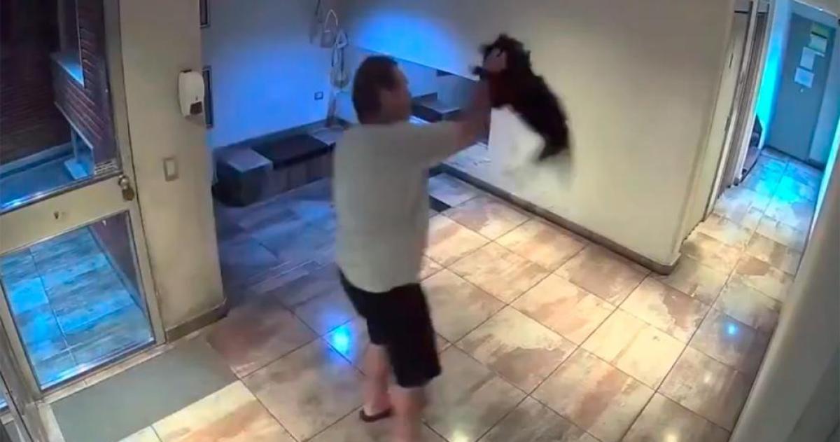 Brutal golpiza a un perro en Palermo