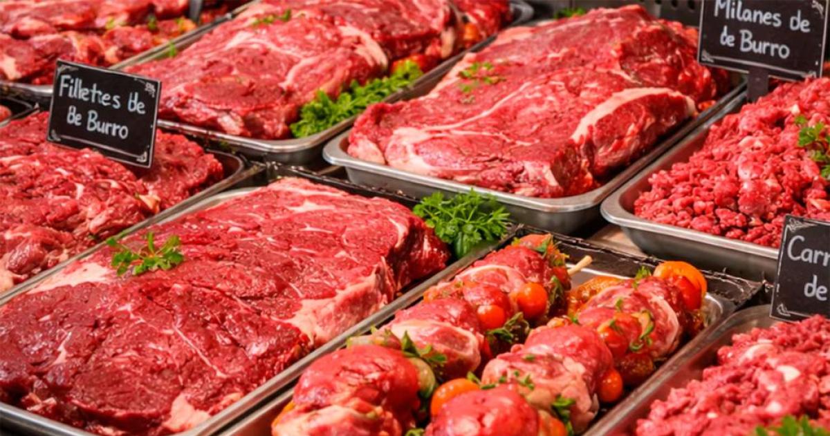 Carne de burro en la Patagonia