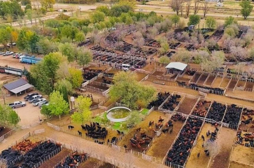 Los hechos se produjeron en una Feria de General Acha