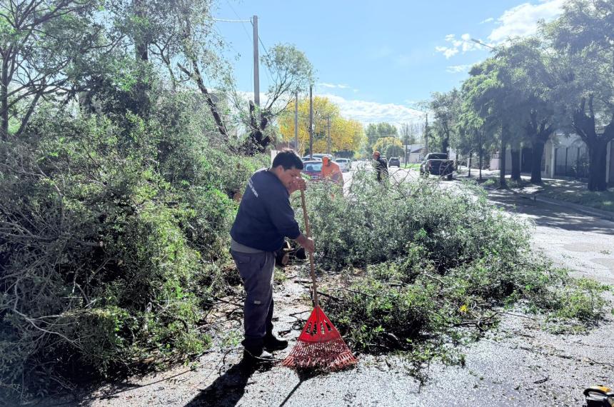 La Municipalidad emitió un informe sobre el operativo tras la tormenta