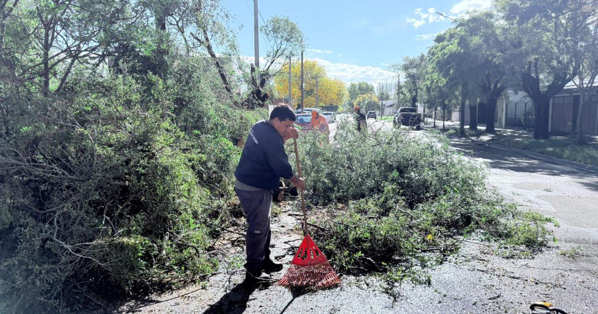 La Municipalidad emitió un informe sobre el operativo tras la tormenta