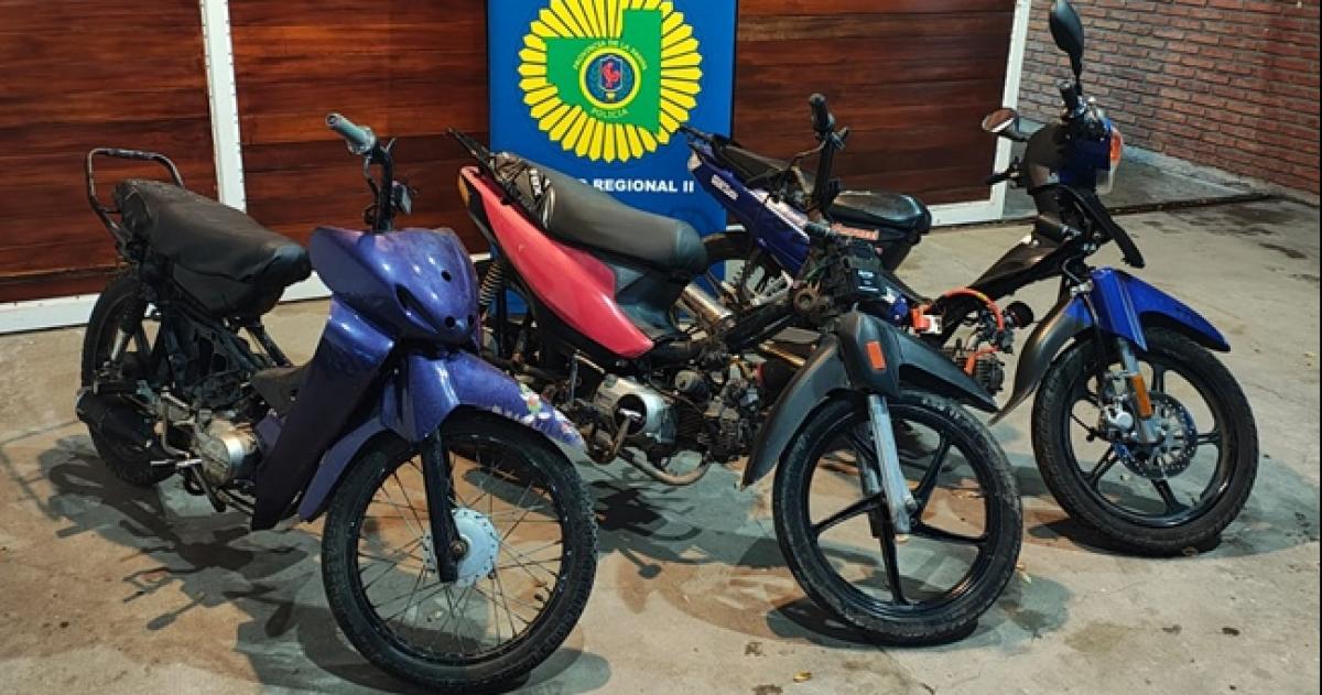 Los operativos se realizaron por denuncias de picadas