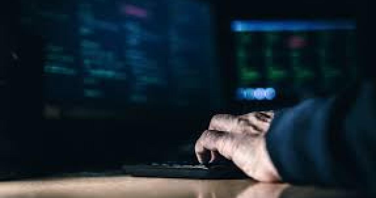 El ciberdelito crece día a día Una legisladora radical pide la adhesión al Plan Federal de Lucha