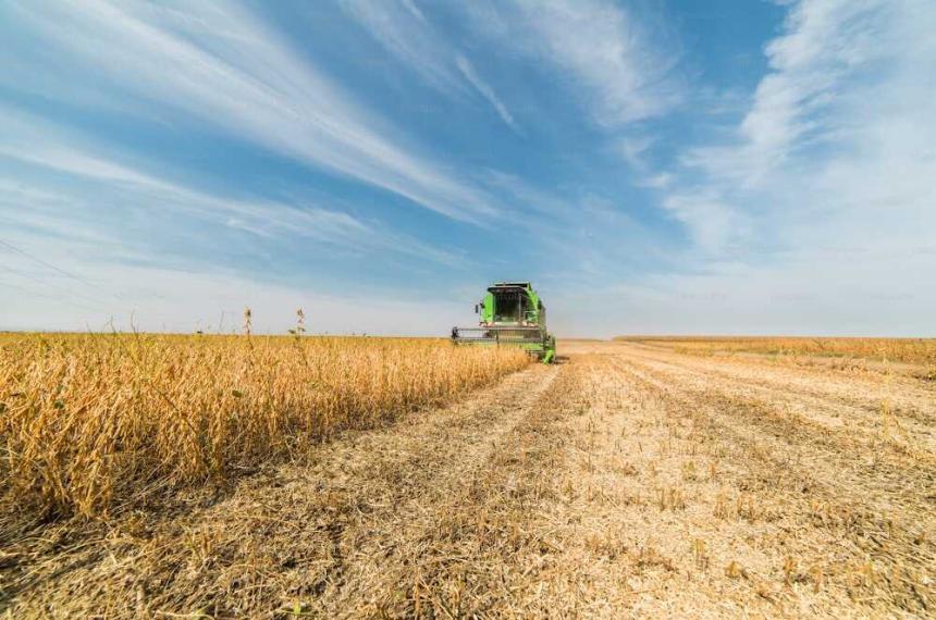 Los granos que hoy quedan en el rastrojo no volver�n