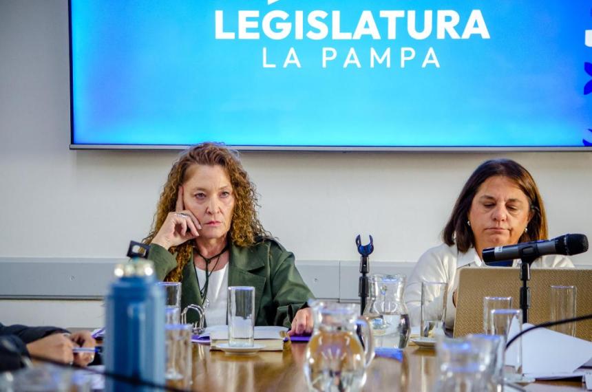 Las diputadas Patricia George (PJ) y Laura Trapaglia (PRO) se cruzaron por el financiamiento de programas