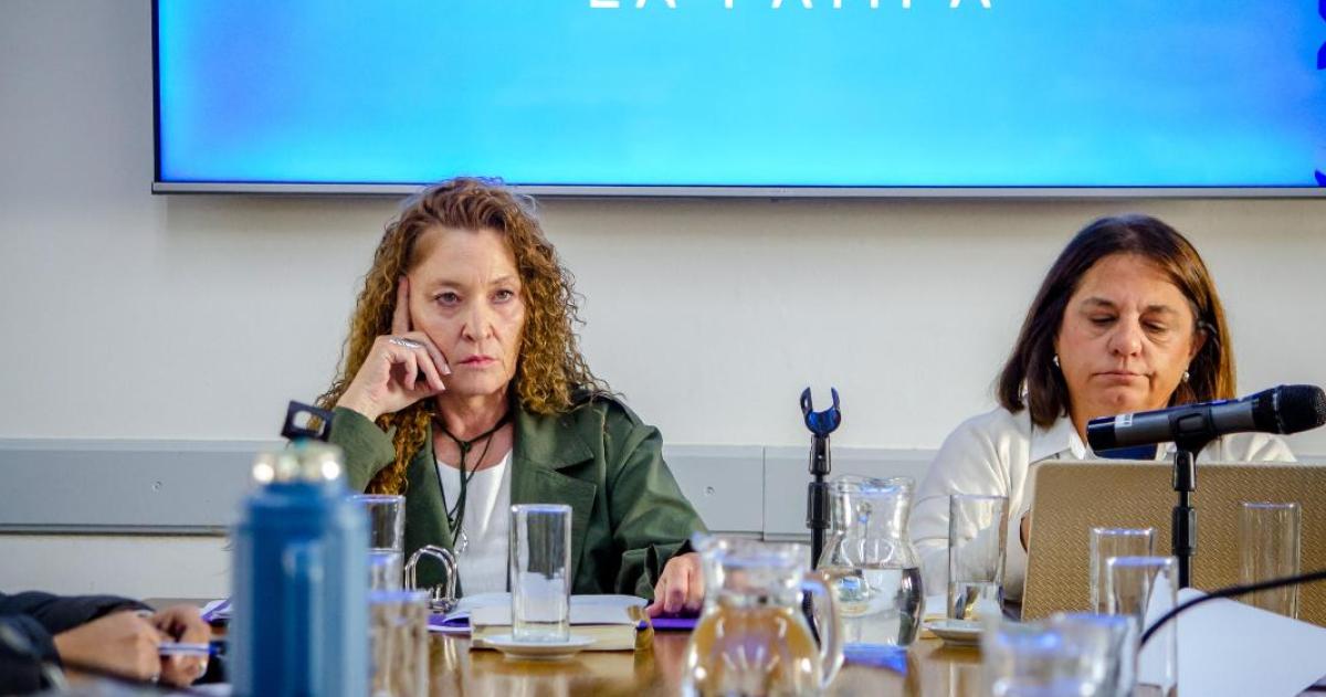 Las diputadas Patricia George (PJ) y Laura Trapaglia (PRO) se cruzaron por el financiamiento de programas