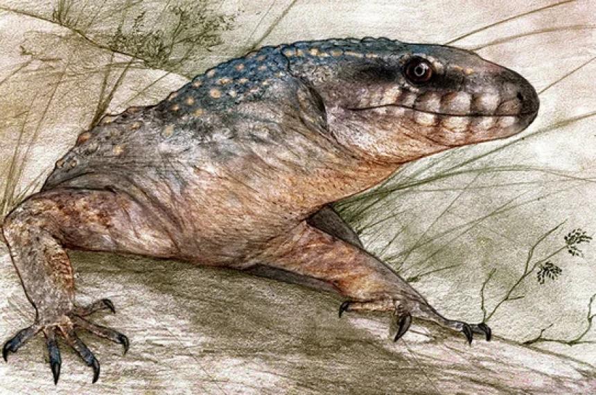 Esta nueva especie fue hallada en rocas de la Formación Allen