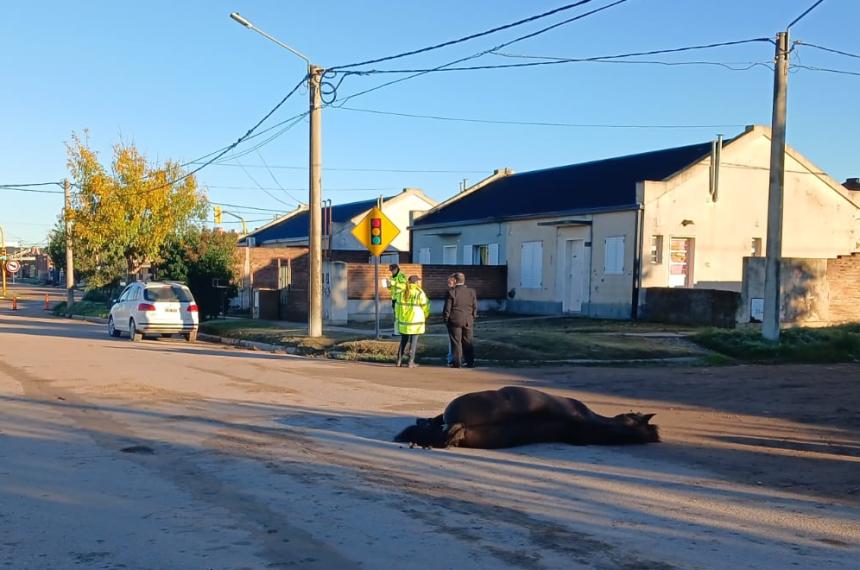 El violento impacto ocurrió en Giach y Marita Monje frente al Procrear abandonado