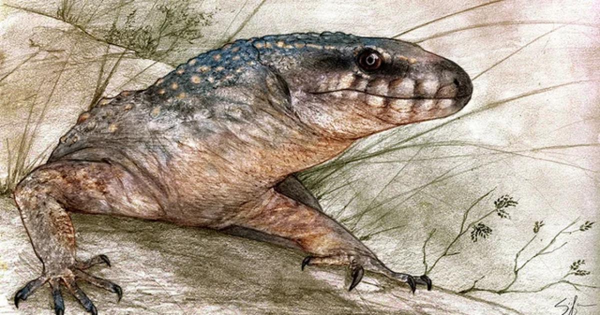 Esta nueva especie fue hallada en rocas de la Formación Allen