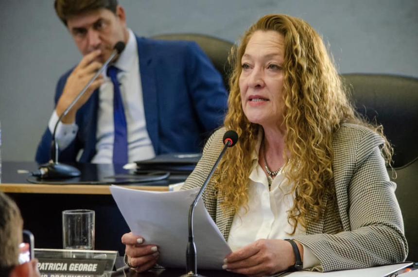 La diputada provincial Patricia George