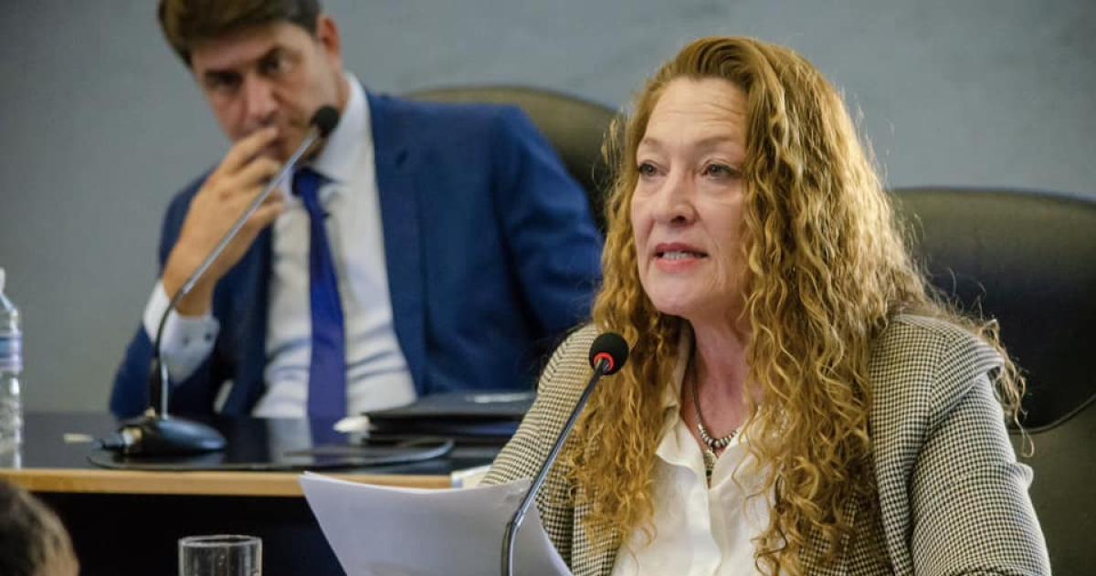 La diputada provincial Patricia George