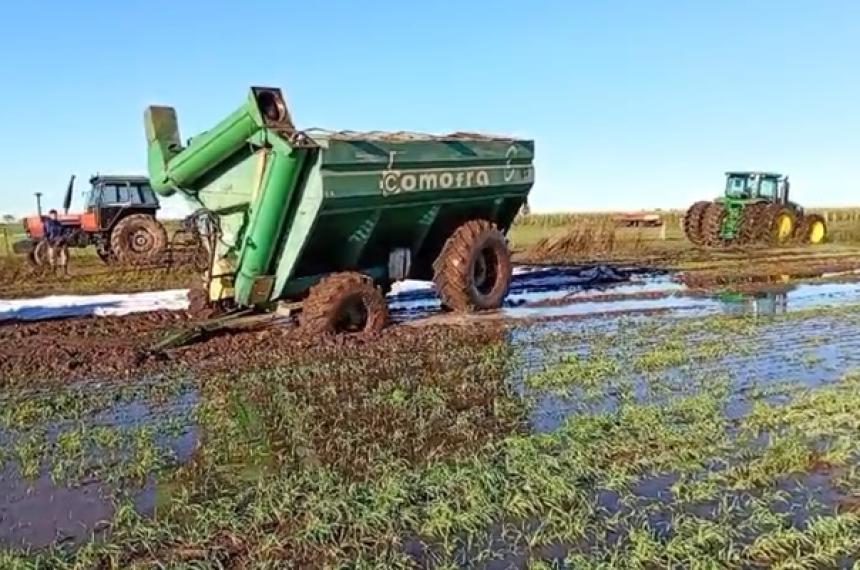 Los campos presentan grandes superficies de agua
