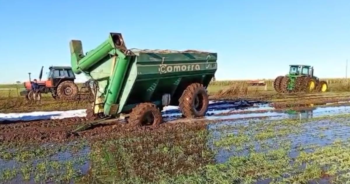 Los campos presentan grandes superficies de agua