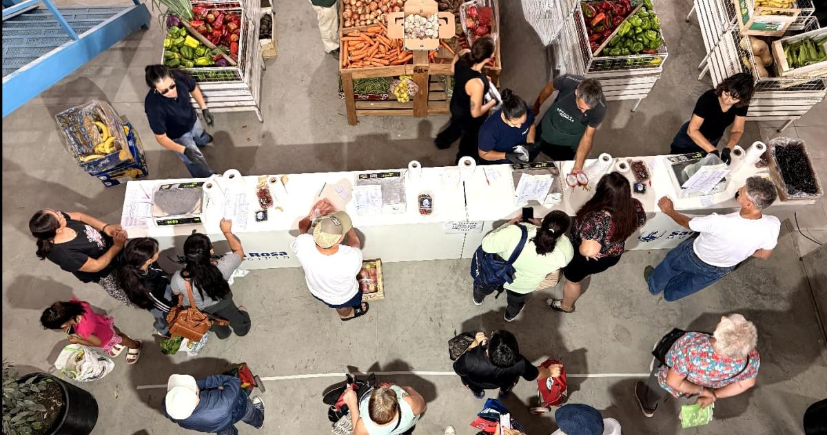 Este s�bado abre el Mercado Municipal en el predio de la Ruta 35